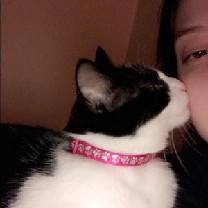 Meet your Posher, Taylor